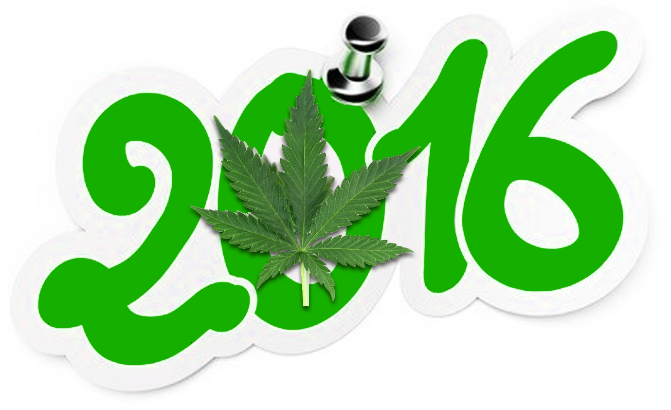 2016 marijuana review