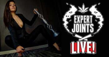 Expert Joints LIVE!: Puff Puffs Pass - Koala Puffs