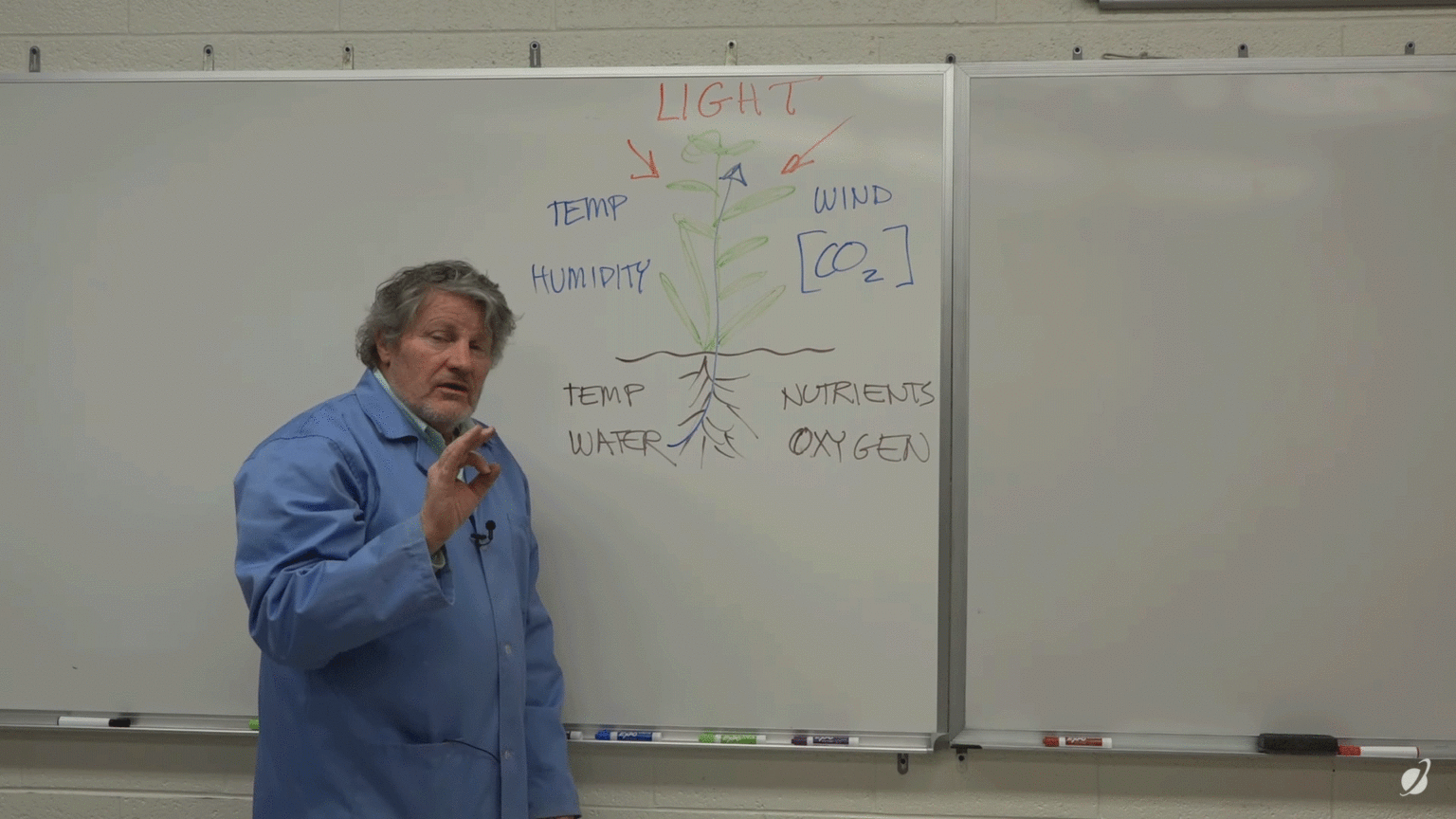 Maximizing Cannabis Yields For Home Growers With Dr Bruce Bugbee Pot TV